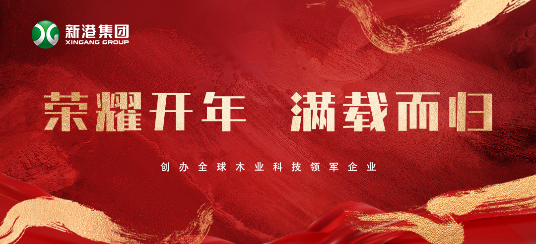 2025喜訊頻傳！新港集團(tuán)榮膺多項(xiàng)大獎(jiǎng)，再獲行業(yè)認(rèn)可！